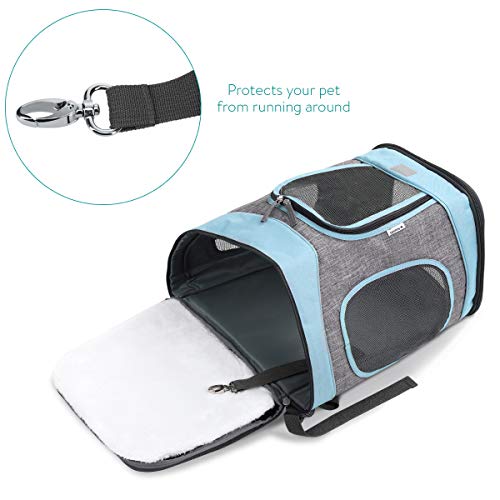 Navaris Mochila para Transportar Perro o Gato -Transportín Plegable Porta Mascota - Bolso Acolchado Transpirable para Mascotas pequeñas máx. 15 KG