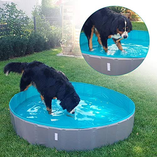 Navaris Piscina para Perros de PVC - Piscina Plegable para Mascotas con Lona Protectora - Bañera Grande y Desmontable de plástico - 170 x 150CM