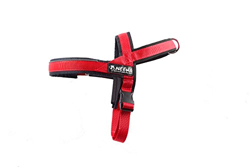 Neewa 8033087538311 - Sport arnés Rojo Small