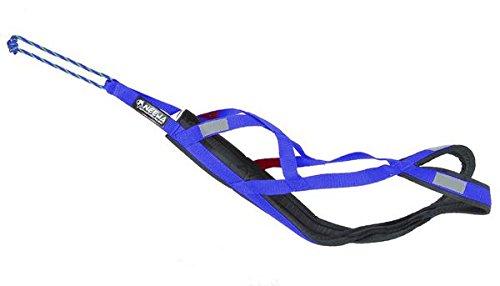 Neewa 8033087538991 - Sled Pro arnés Azul XXXL