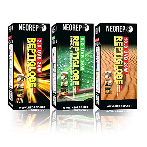 NEOREP Neorrep - Lámpara Fluorescente compacta para Reptiles (5 V, UVB, UVB, UVA, 26 W, Rosca ES)