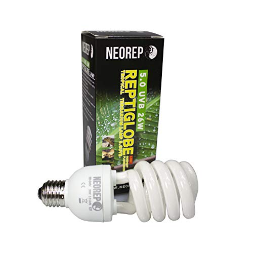 NEOREP Neorrep - Lámpara Fluorescente compacta para Reptiles (5 V, UVB, UVB, UVA, 26 W, Rosca ES)