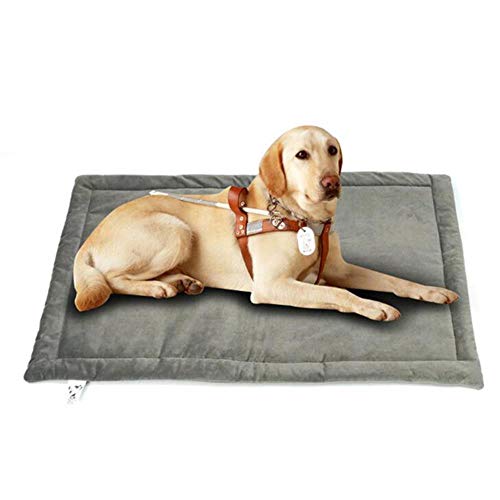 Nido de Tela de algodón Kennel para Perros pequeños y medianos Almohadilla para Perro Suave Invierno cálido Mascota Cachorro Gatos Cama Sofá Estera para Perro Mascota, Moca, 102x69cm