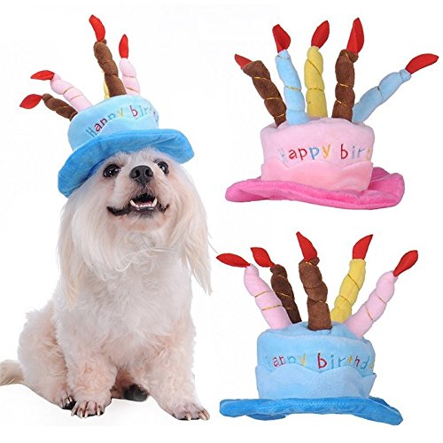 Nikgic - Gorro de cumpleaños para perro