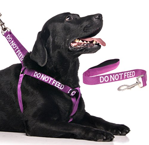 No alimentar (perro es en una dieta/HA alergias alimentarias) morado de colores non-pull perro arnés y 60 cm 1,2 m 1,8 m Lujo neopreno asa acolchada plomo conjuntos evita accidentes por advertencia otros de su perro en Advance