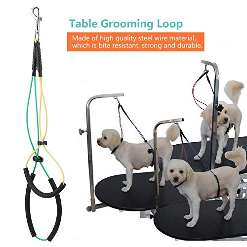 No-Sit Haunch Holder para Mascotas Arreglador de arneses para Mesa de Mesa Doble SOGA Aseo para Mascotas Loop Alambre de Acero para Mascotas Ajustable Soporte de Herramientas para la Mesa de Aseo(S)