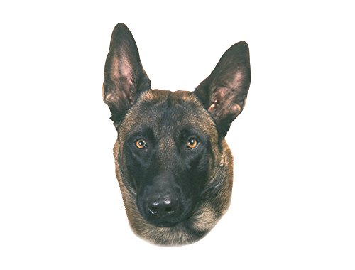 Nobby Adhesivo Malinois