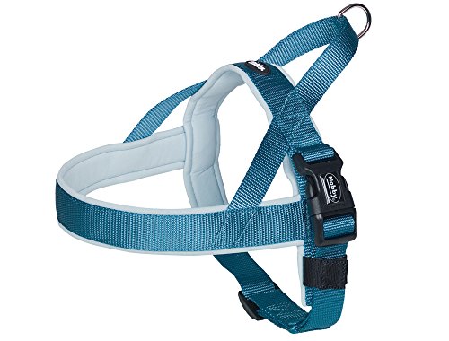 Nobby Classic Preno - Arnés Noruego, 38 - 50 cm+36 cm/20-25 mm, Color Azul Claro