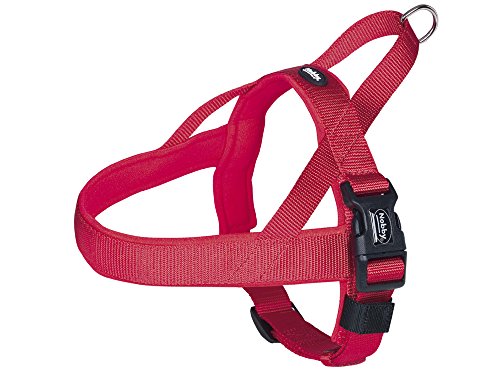 Nobby Classic Preno - Arnés Noruego (50 - 64 cm+42 cm/25-35 mm), Color Rojo