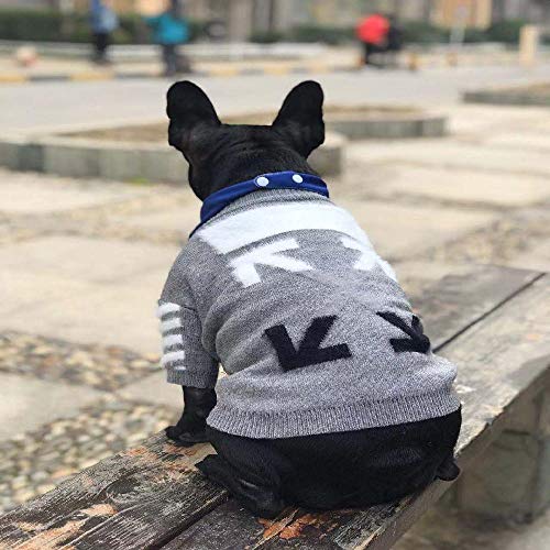 Nobrand - Sudadera para perro de otoño e invierno, diseño de chenery bomec kefado VIP mascota gato moda