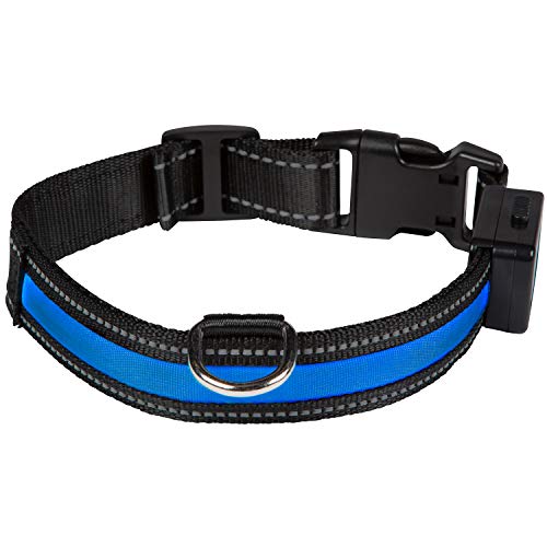 NUM'AXES 01830608 Collar Eyenimal con USB Azul - M