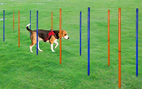 NXL Juegos para Mascotas Al Aire Libre Equipo De Entrenamiento para Ejercicios De Agilidad para Perros Kit para Perros Correr Saltar Juego con Bastones De Slalom Y El Aro De Salto