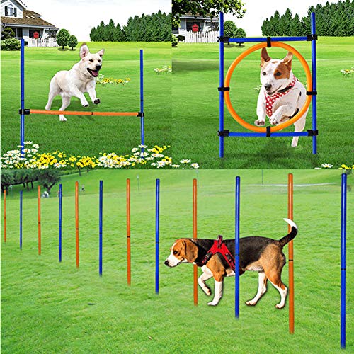 NXL Juegos para Mascotas al Aire Libre Equipo de Entrenamiento para Ejercicios para Perros Kit de Inicio de Agilidad Juego para Perros Correr Saltar Juego con Bastones de Slalom y el aro de Salto