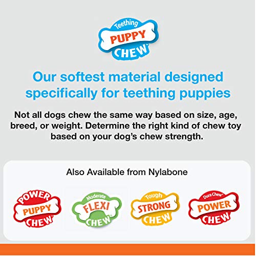 Nylabone Hueso Chill & Chew Cachorros, Sabor A Cordero con Manzana 70 g