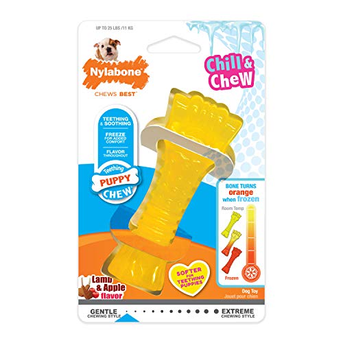 Nylabone Hueso Chill & Chew Cachorros, Sabor A Cordero con Manzana 70 g