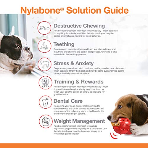 Nylabone Hueso para morder para Perros