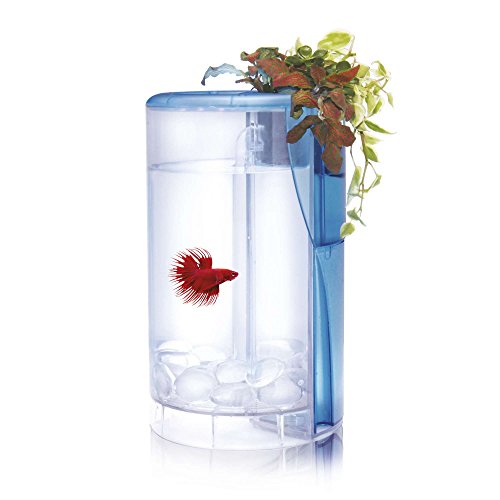 Ocean Free AT620A Kit Betta Flora Led, Crema