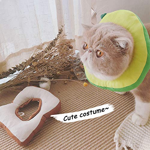 Oncpcare - Collar de recuperación de perro con forma de aguacate ajustable de forma de collar isabelino, cono de protección para curación de heridas, disfraz de gato