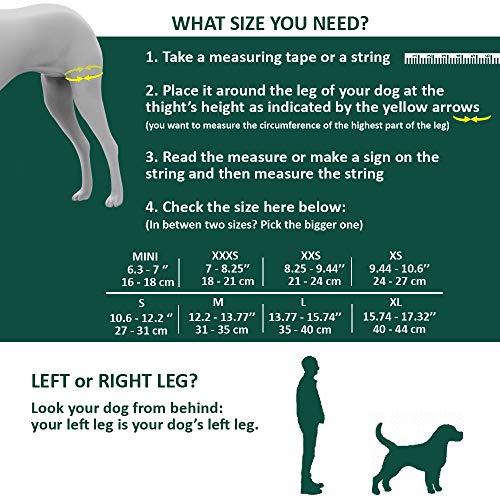 Ortocanis Inmovilizador de Rodilla para Perros con Rotura de ligamentos, luxación de rótula - 2 férulas Laterales limitan los Movimientos - 8 Tallas Disponibles - Talla XXS- Pata Izquierda