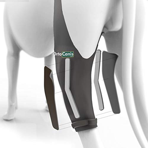 Ortocanis Inmovilizador de Rodilla para Perros con Rotura de ligamentos, luxación de rótula - 2 férulas Laterales limitan los Movimientos - 8 Tallas Disponibles - Talla XXS- Pata Izquierda