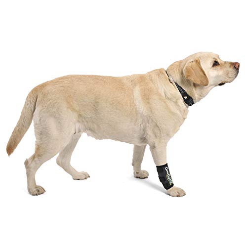 Ortocanis - Muñequera para Perros con artrosis, Lesiones a ligamentos, tendones o Perros Que practican Agility - Talla XS