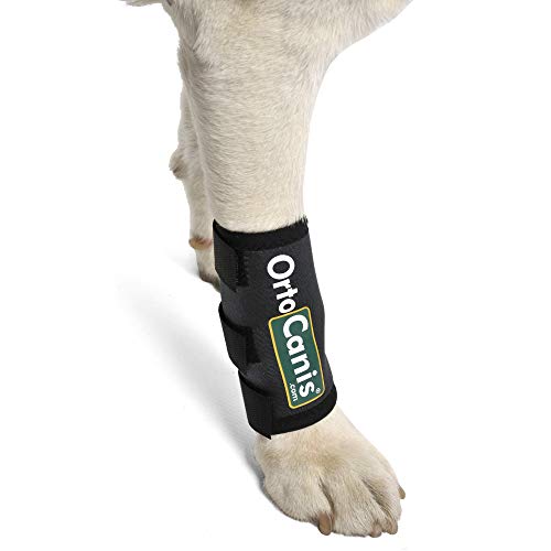 Ortocanis - Muñequera para Perros con artrosis, Lesiones a ligamentos, tendones o Perros Que practican Agility - Talla XS