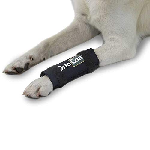 Ortocanis - Soporte de carpo para Perros con artrosis, Lesiones a ligamentos, carpo inestable - Talla XL