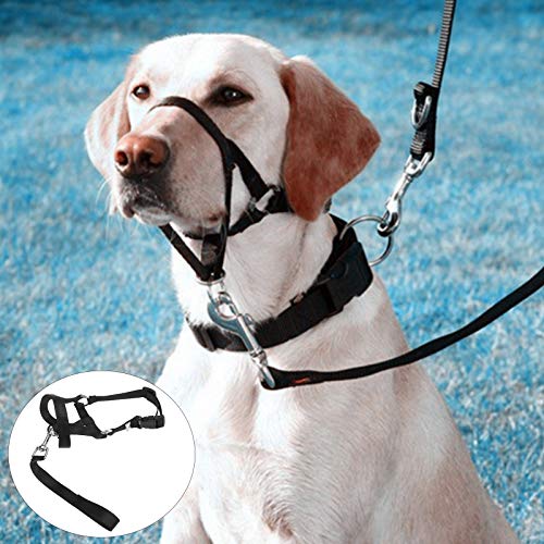 OTOTEC - Bozal para Perro Ajustable con Cuello de Cabeza Halter Hebilla Que Detiene el Perro tirando Halter Entrenamiento de Nariz Reina