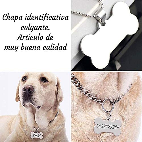 OyC Placa o Chapa identificativa Hueso, Acero, telefono, Mascota, Perro, Gato