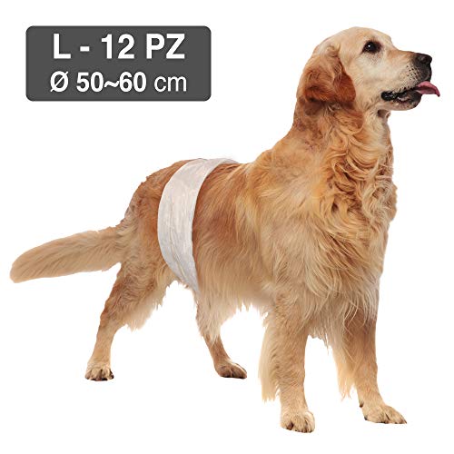 Pañales croci para perro macho, grande, 50 – 60 cm, 12 unidades