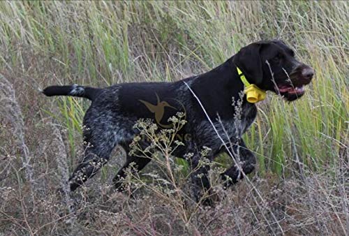 PATPET Collar de Caza – Indicador sonoro