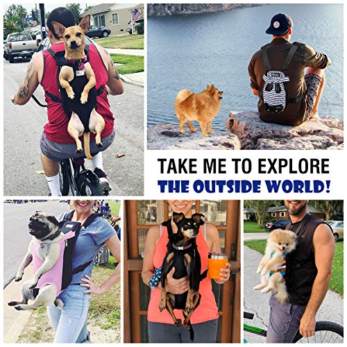 Pawaboo Mochila del Perro - Adjustable Bolsa Delantera Pet Front Cat Dog Carrier Backpack/Piernas Afuera & Fácil de Ajustar para Viajar/Senderismo/Camping, Talla M - Iridiscencia