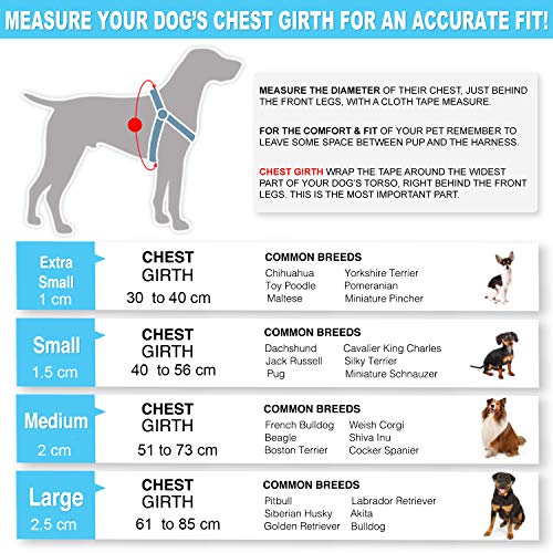 Pawtitas Adiestramiento Arnés para Perro o Cachorro Reflectante | Arnes Perro Antitirones | Arneses para Perro para Entrenamiento - Arnes Perro XS Extra Pequeño Turquesa