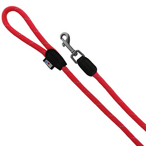 Pawtitas Correa de Entrenamiento para Perros Plomo de Cuerda Duradera para Perros Cuerda adiestramiento Correr y Caminatas - Rojo