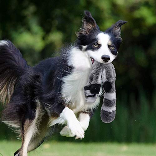 PDTO Juguete para perro sin relleno, juego de juguetes para masticar con ardilla mapache y zorro de peluche para perros pequeños y medianos, 3 paquetes, 46 cm