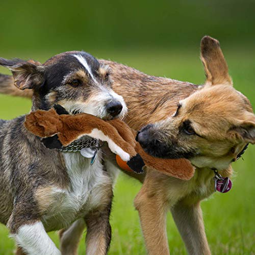 PDTO Juguete para perro sin relleno, juego de juguetes para masticar con ardilla mapache y zorro de peluche para perros pequeños y medianos, 3 paquetes, 46 cm