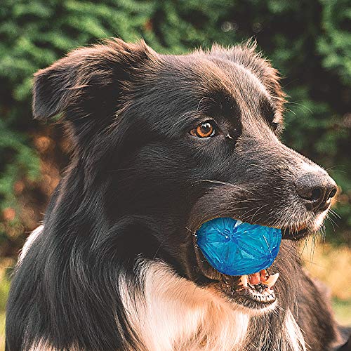 PEDOMUS Pelota para Perro, Pelota elástica con Flash LED, activada por Rebote, Pelota chirriadora para Perros, Pelota interactiva para Perros