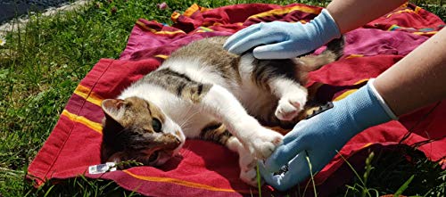 PEGACARE Guantes de enfermería S-XL para el Cuidado óptimo de Animales como Caballos, Perros y Gatos. La Alternativa al Cepillado de pelos de Animales.