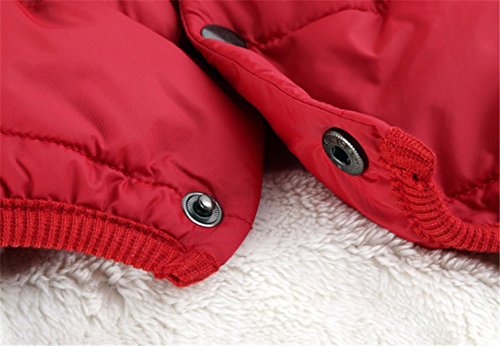 PENVO Ropa para Perros de Mascotas, Abrigos y Chaquetas Impermeables de Invierno para Perros pequeños y medianos Grandes Chaleco de Perro Cachorro Traje de suéter (Rojo, XXXL)