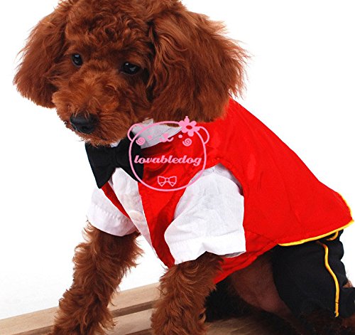 Pequeño disfraz de vampiro para perro, para Halloween, traje para fiesta de disfraces, con capa, para mascota, de Smalllee_Lucky_store