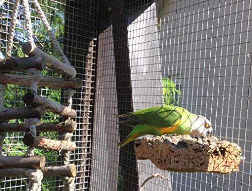 Percha para pájaros de corteza de corcho natural. Para sentarse y picar. Perchas de corcho para periquitos, canarios, loros y otras aves