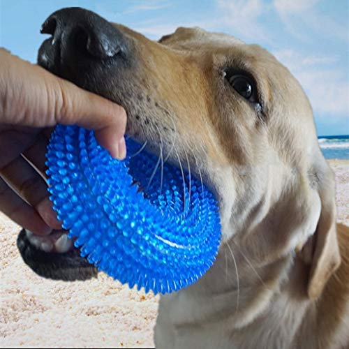 Pet Molar Bite Toy Paquete de 2 Juguetes para Mascotas Pelota de Juguete Que Suena Resistente a Las mordeduras Perro Grande Golden Retriever con Espina (12.5 * 12.5 * 4.0cm,10.0 * 10.0 * 3.5cm) Azul