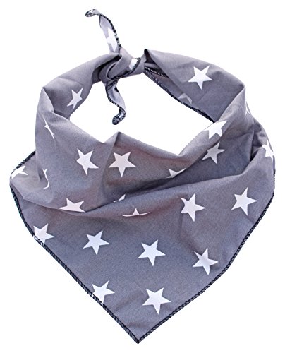 Pet Pooch Boutique Star Bandana para Perro, pequeño/Mediano, Color Gris