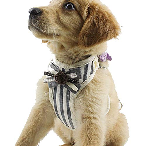 PET SPPTIES Arnés de Perro pequeño Arnés de Gato Chaleco Ajustable para Cachorros, pequeño, Gatos, Mascotas pequeñas PS025 (XS, Striped Grey)