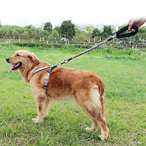 Petcomer Correas Entrenamiento para Perros Cuero Cómodo Ajustable Correa para Mascotas Grandes Medianos Extensión Fuerte Tensible Resistente Durable