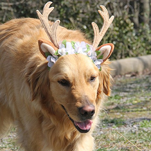 PETCUTE Diadema Cuernos Traje Reno Perro Navidad Reno Cornamenta Cuerna Vestido Perro Navidad Diadema de Reno