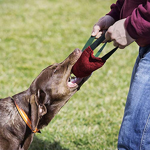 PetGens mordedor Perro, Juguetes para morder para Perros, K9 Dummy y motivador canino Resistente y Duradero, con Dos Asas, 40 cm