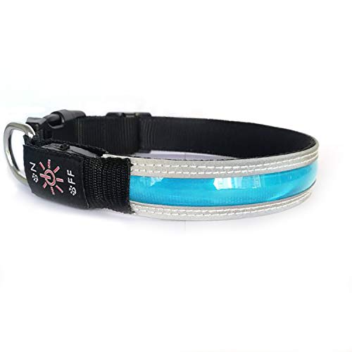 PetIsay LED Collar para Perros, Super Brillante con luz LED Recargable por USB, Collar de Perro Iluminado para Seguridad Nocturna, Resistente al Agua, tamaños Ajustables(Azul Real，L(50-60cm))