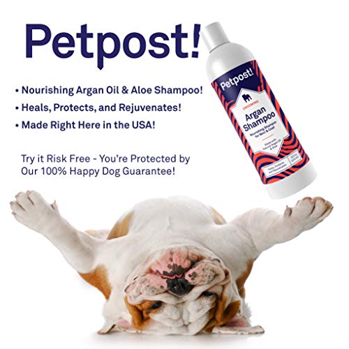 Petpost | Champú De Argan para Perros: Cura, Protege Y Rejuvenece De Forma Natural La Piel Seca Y El Pelaje del Perro: Aceite De Argán Y Fórmula De Aloe (474 ml)