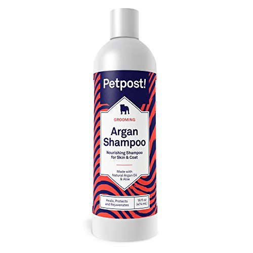 Petpost | Champú De Argan para Perros: Cura, Protege Y Rejuvenece De Forma Natural La Piel Seca Y El Pelaje del Perro: Aceite De Argán Y Fórmula De Aloe (474 ml)